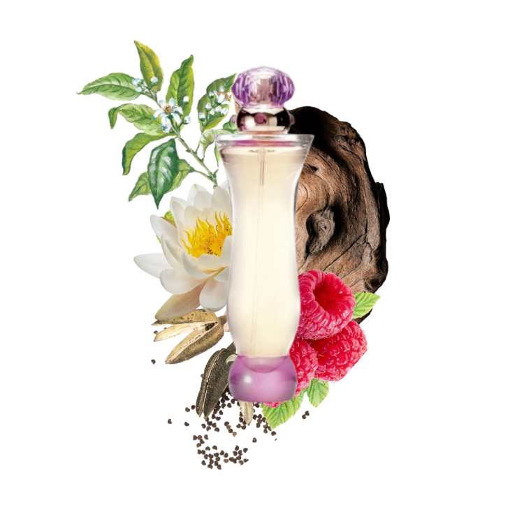 VERSACE Woman 100ml Edt Mujer