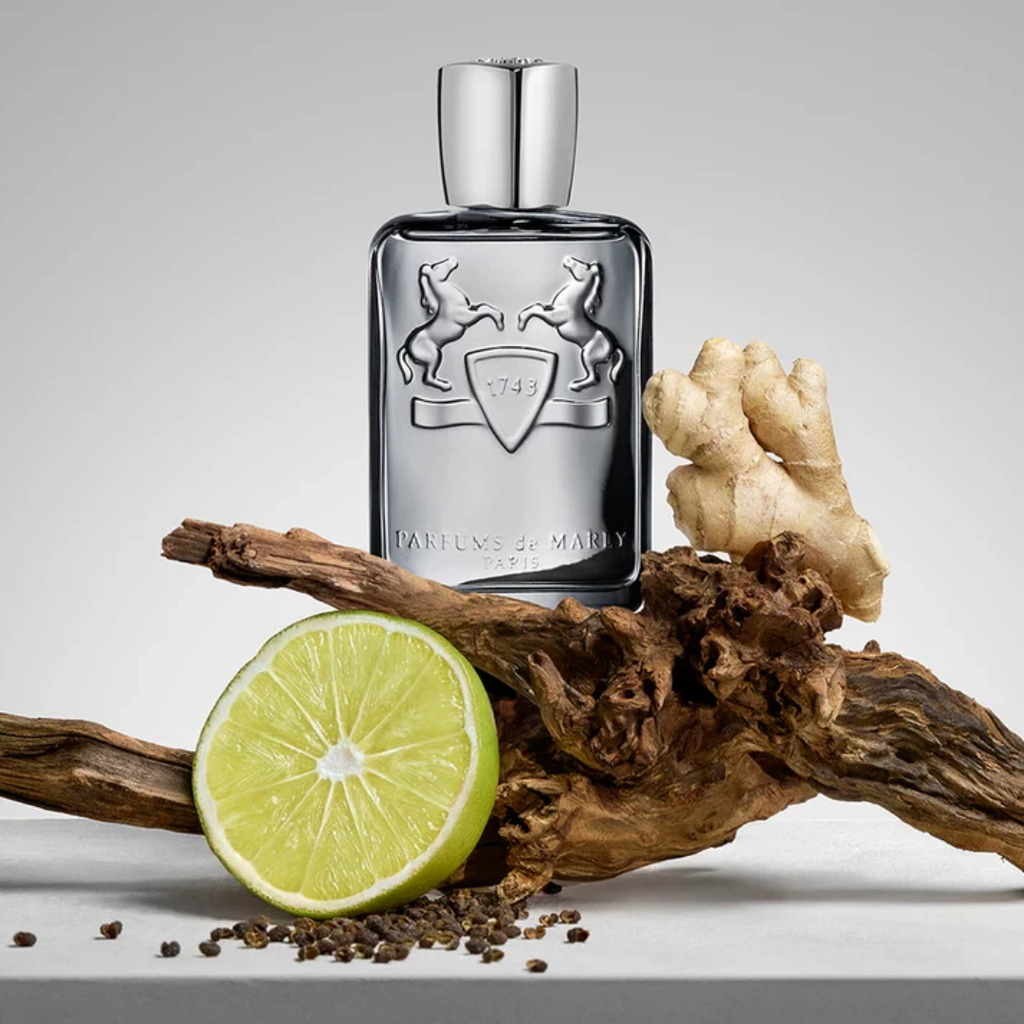 PARFUMS DE MARLY Castley Edp 125ml Hombre