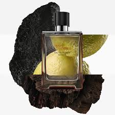 HERMES Terre D' Hermès 100ml Edp Intense Hombre