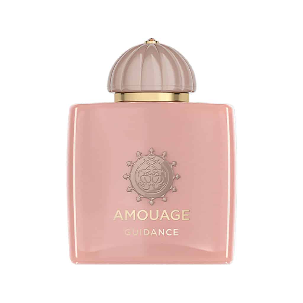 AMOUAGE Guidance 100ml Edp Unisex