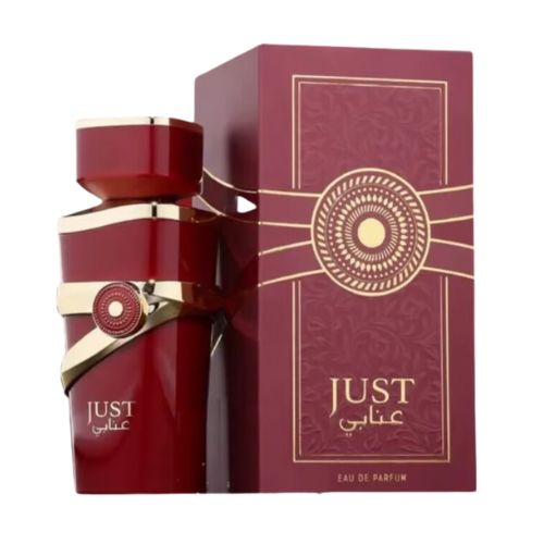 FRAGRANCES WORLD Just Anabi 100ml Edp Unisex