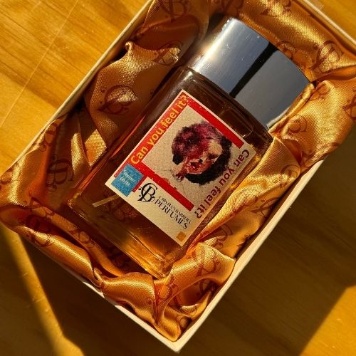 CRISTIAN BARRERA Can You Feel It ? 60ml Parfum