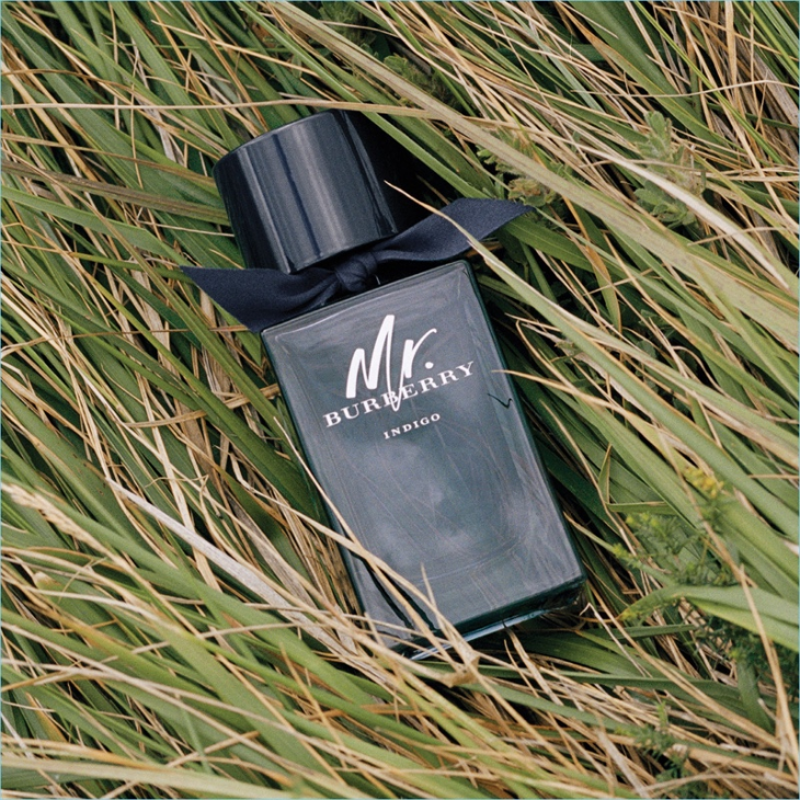 BURBERRY Mr Burberry Indigo 50ml Edt Hombre - Imagen 2