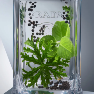 Alternative view of PRADA L' Homme Edt 100ml Hombre
