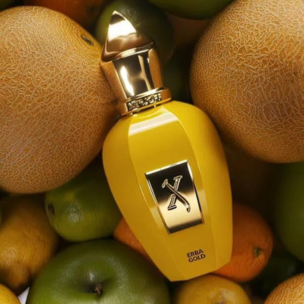 XERJOFF Erba Gold Edp 100ml Unisex - Imagen 3